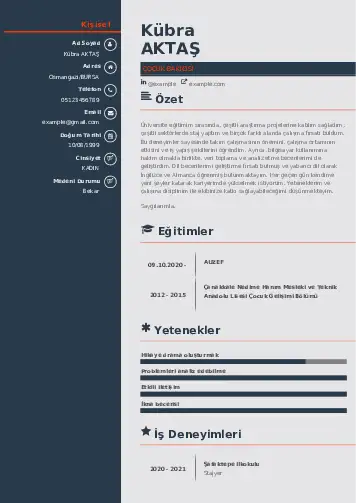 Çocuk Bakıcısı CV Örnekleri cv indir